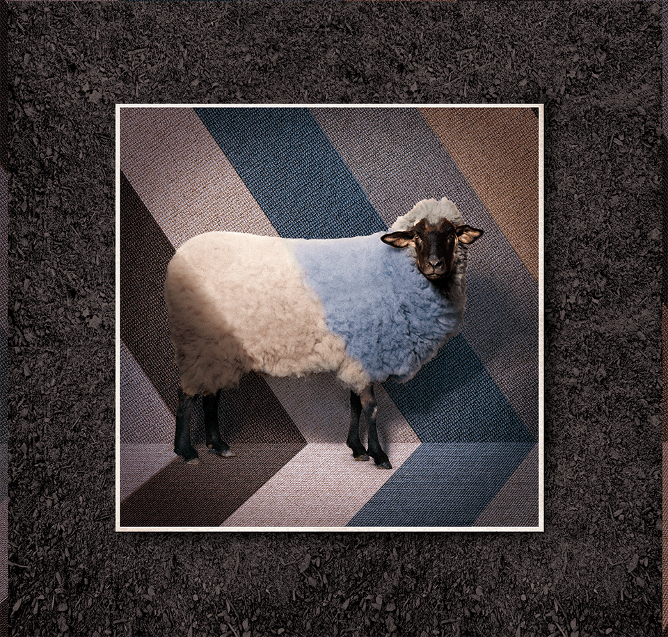 Second-Nature-SHEEP-1