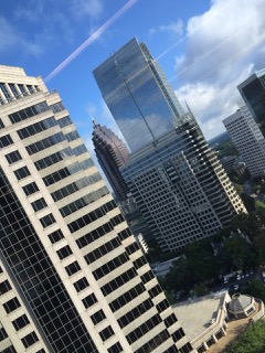 IMG_7366.jpeg IMG_7366.jpeg