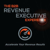B2B Revenue Executive Experience